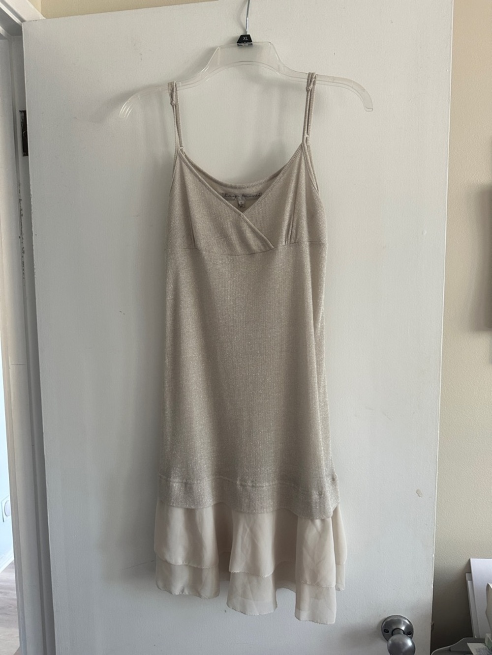 Eryn Brinie Champagne Shimmer Slip Dress with Layered Chiffon Hem
